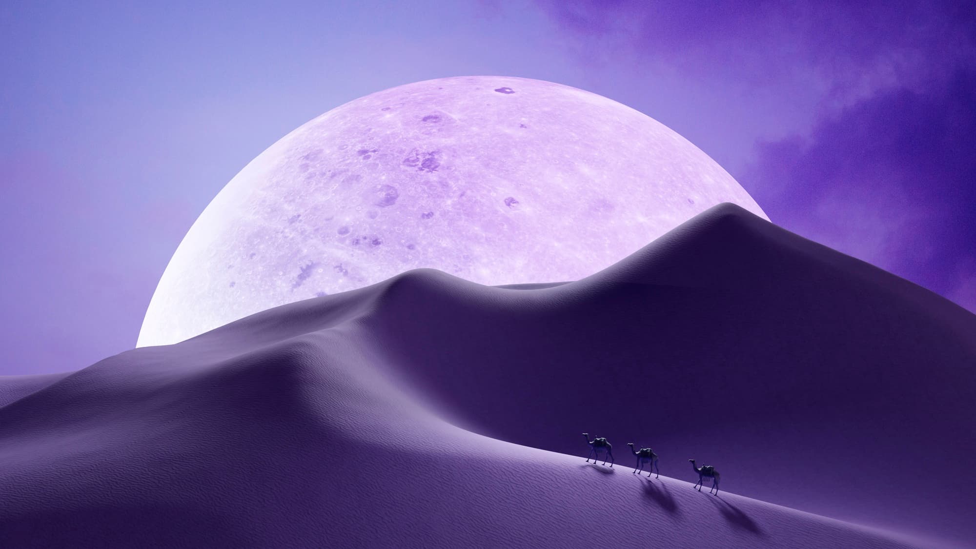 Nokri & Parh.ai background